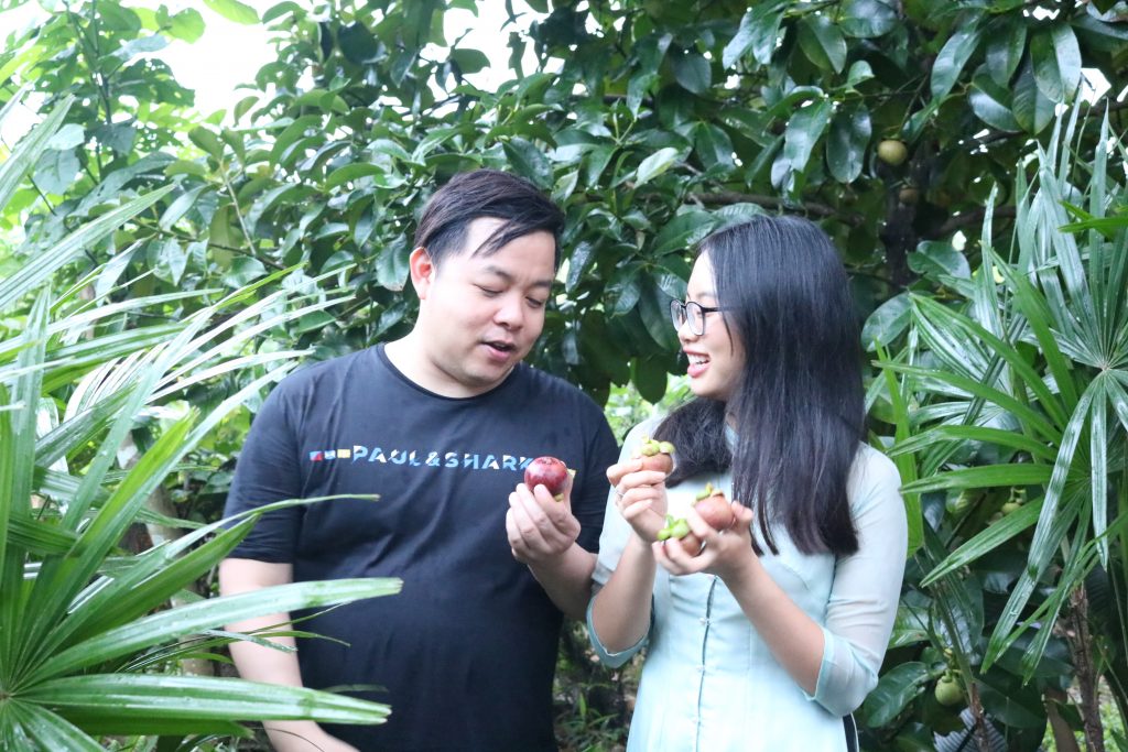  Quang Lê thăm gia đình cô Bảy Thảo, hái măng cụt tận vườn, Chợ Lách- Du lịch C2T