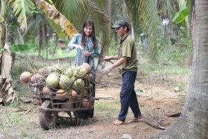  Lễ hội dừa lần V- 2019