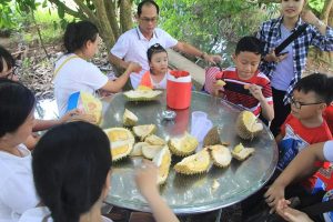 Gia đình dùng sầu riêng tại vườn nhà Bảy Thảo - Du lịch C2T