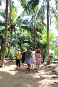 Hình ảnh tham quan vườn dừa dứa, uống nước dừa tại vườn - du lịch c2t