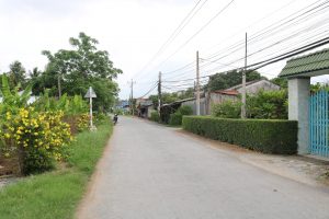 Đường quê xanh mát, hàng rào ở Phú Vang, Bình Đại, du lịch c2T
