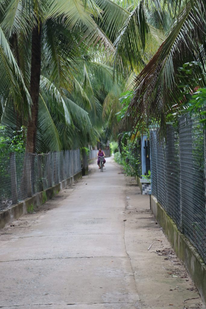Đường quê xanh mát với hàng dừa rợp bóng ở Bình Đại , du lịch C2T